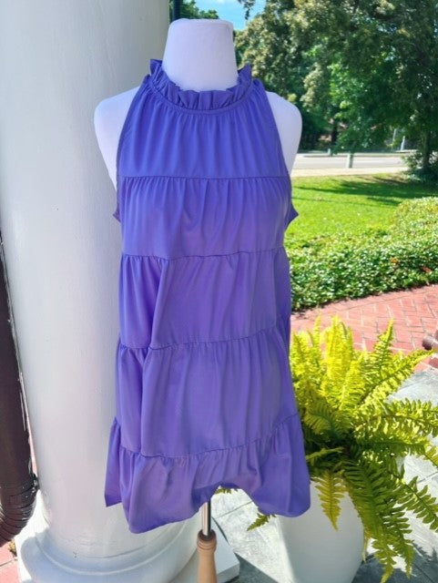 Penelope Purple Dress
